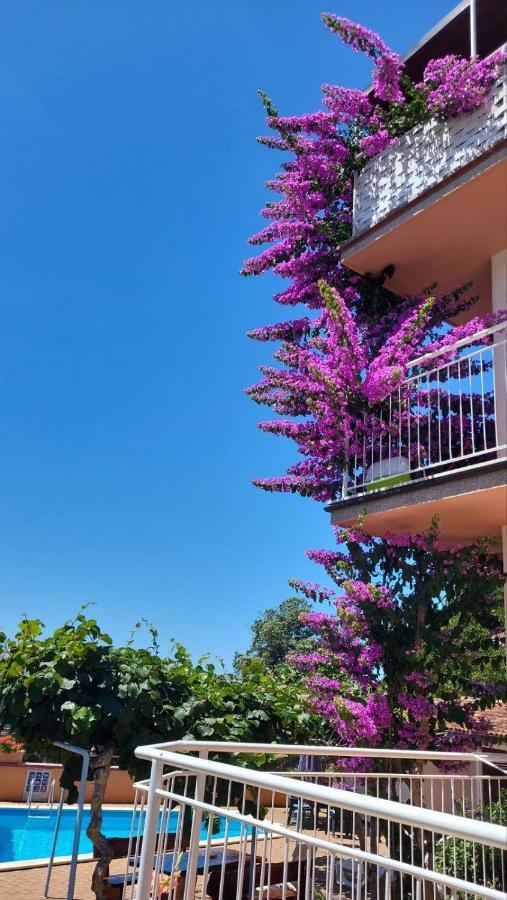 Stella Apartments 빈쿠란 외부 사진